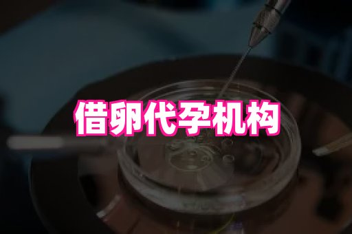 安徽助孕网 3